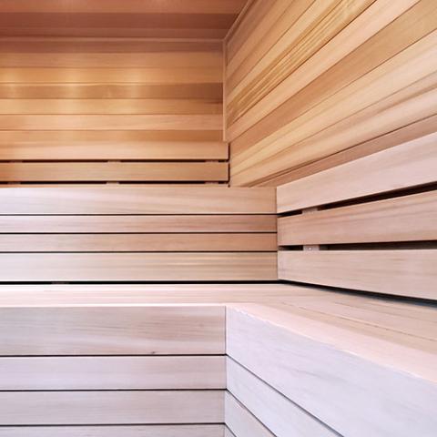 ProSaunas