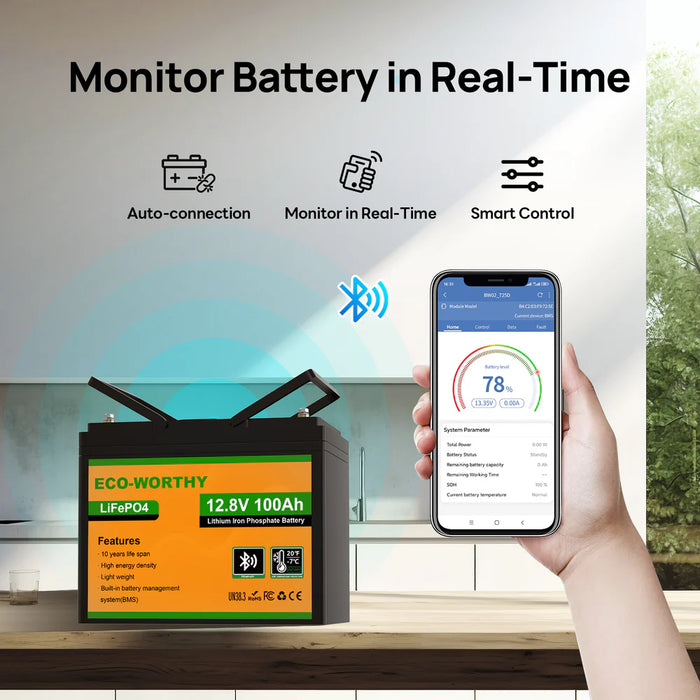 Eco-Worthy 12V 100Ah LiFePO4 Battery with Low-temperature Protection and Bluetooth Option