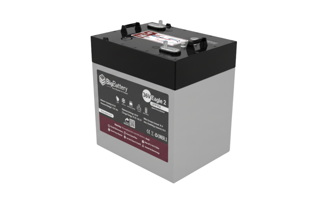 Big Battery 36V EAGLE2 1.63 kWh LiFePO4 Battery with Heater and Comms with Kit Options