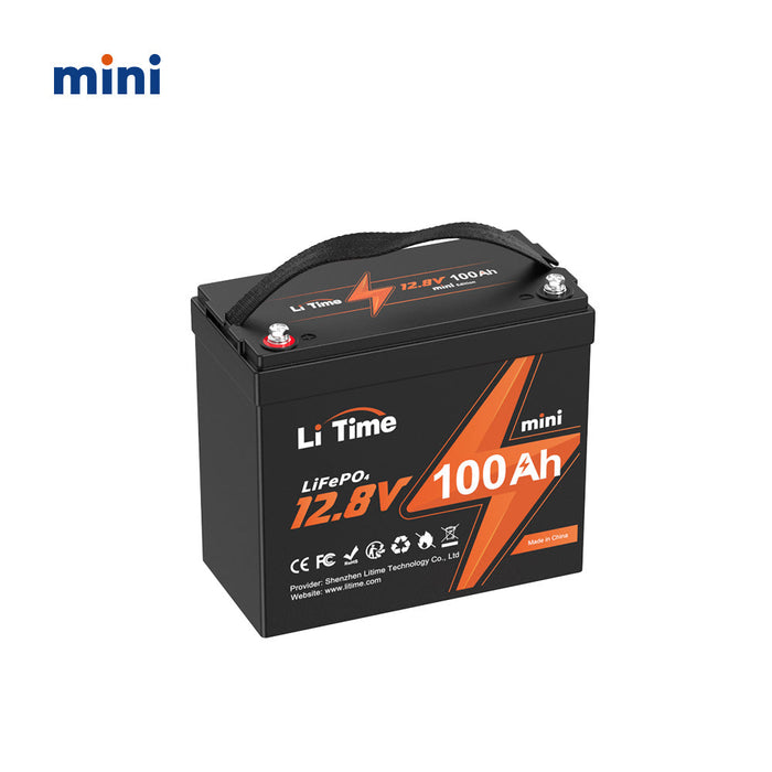 LiTime 12V 100Ah Mini LiFePO4 Lithium 4D Battery