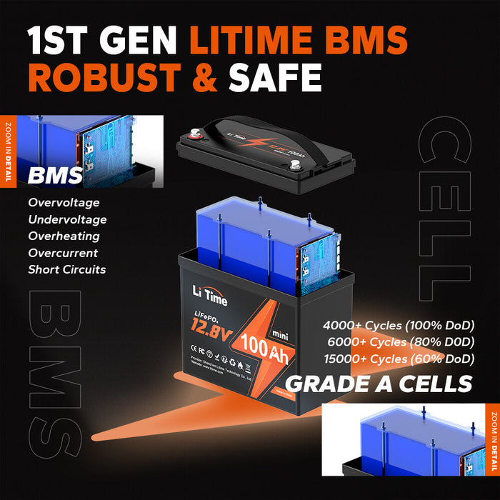 LiTime 12V 100Ah Mini LiFePO4 Lithium 4D Battery