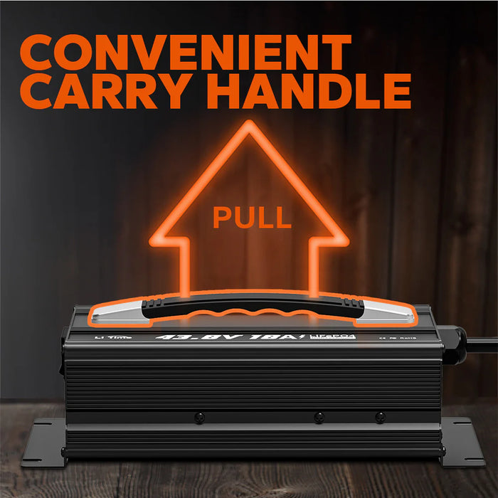 LiTime 36 Volt (43.8V) 18A LiFePO4 Lithium Golf Cart Battery Charger