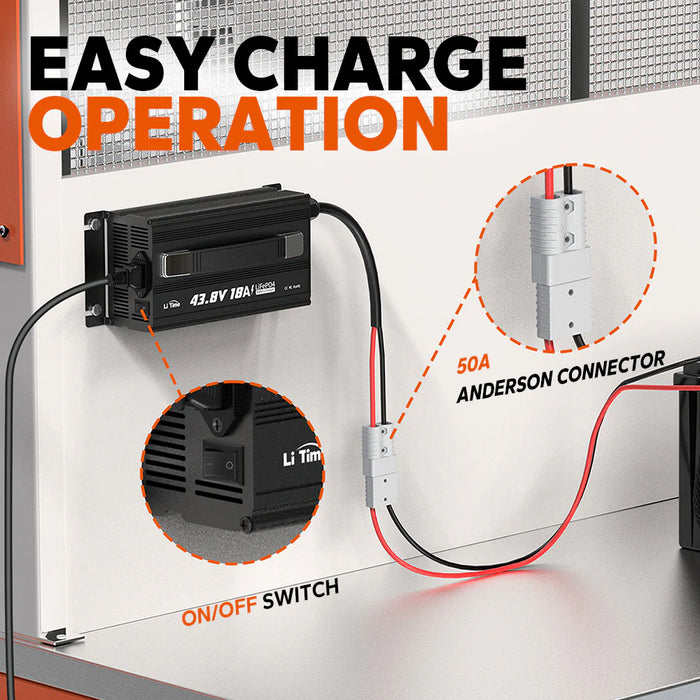 LiTime 36 Volt (43.8V) 18A LiFePO4 Lithium Golf Cart Battery Charger
