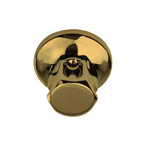 ThermaSol Legacy Steamhead with Aromatherapy Well, 1/2" or 3/4" NPT