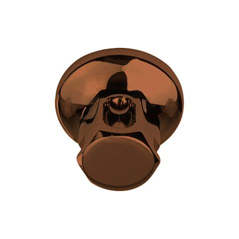 ThermaSol Legacy Steamhead with Aromatherapy Well, 1/2" or 3/4" NPT