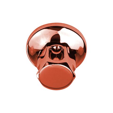 ThermaSol Legacy Steamhead with Aromatherapy Well, 1/2" or 3/4" NPT