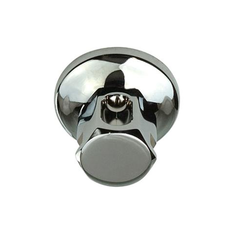 ThermaSol Legacy Steamhead with Aromatherapy Well, 1/2" or 3/4" NPT
