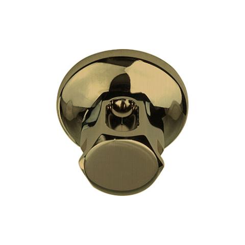 ThermaSol Legacy Steamhead with Aromatherapy Well, 1/2" or 3/4" NPT