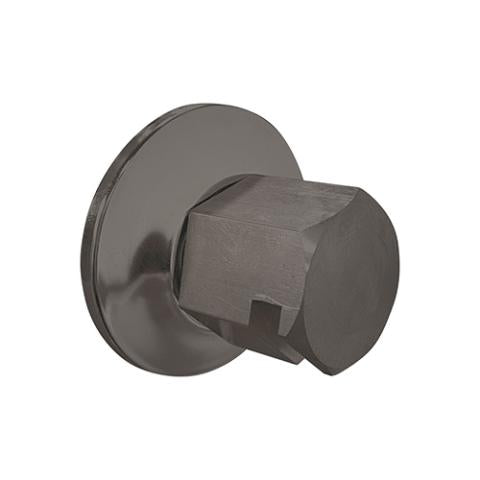 ThermaSol Legacy Steamhead with Aromatherapy Well, 1/2" or 3/4" NPT