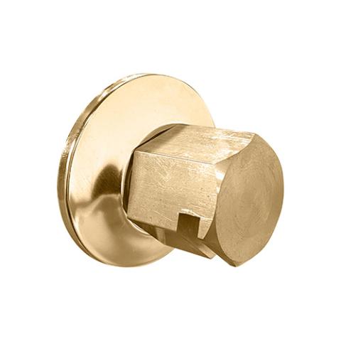 ThermaSol Legacy Steamhead with Aromatherapy Well, 1/2" or 3/4" NPT