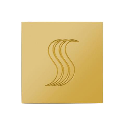 ThermaSol SteamVection Steamhead with Aromatherapy Well, 1/2" NPT