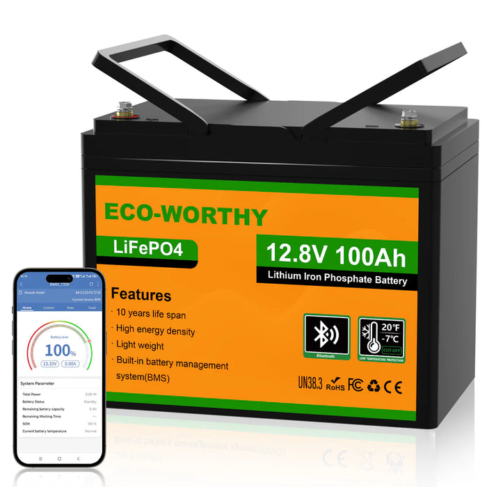 Eco-Worthy 12V 100Ah LiFePO4 Battery with Low-temperature Protection and Bluetooth Option