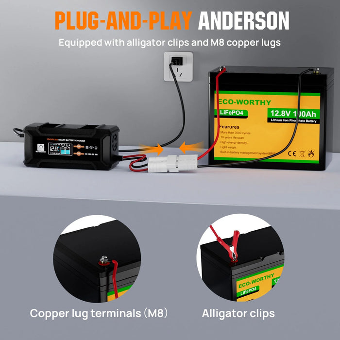 Eco-Worthy 20A 12V/24V Smart Battery Charger with LCD Display for Most Batteries