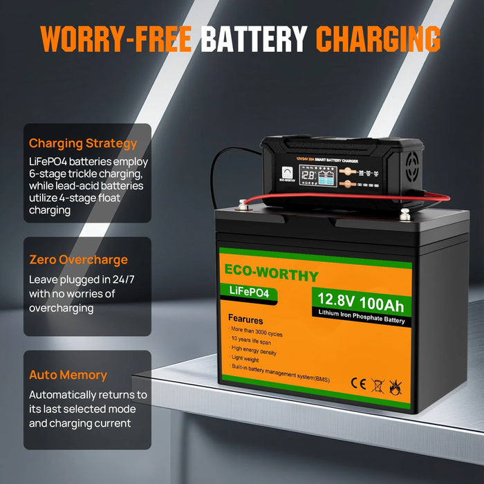 Eco-Worthy 20A 12V/24V Smart Battery Charger with LCD Display for Most Batteries
