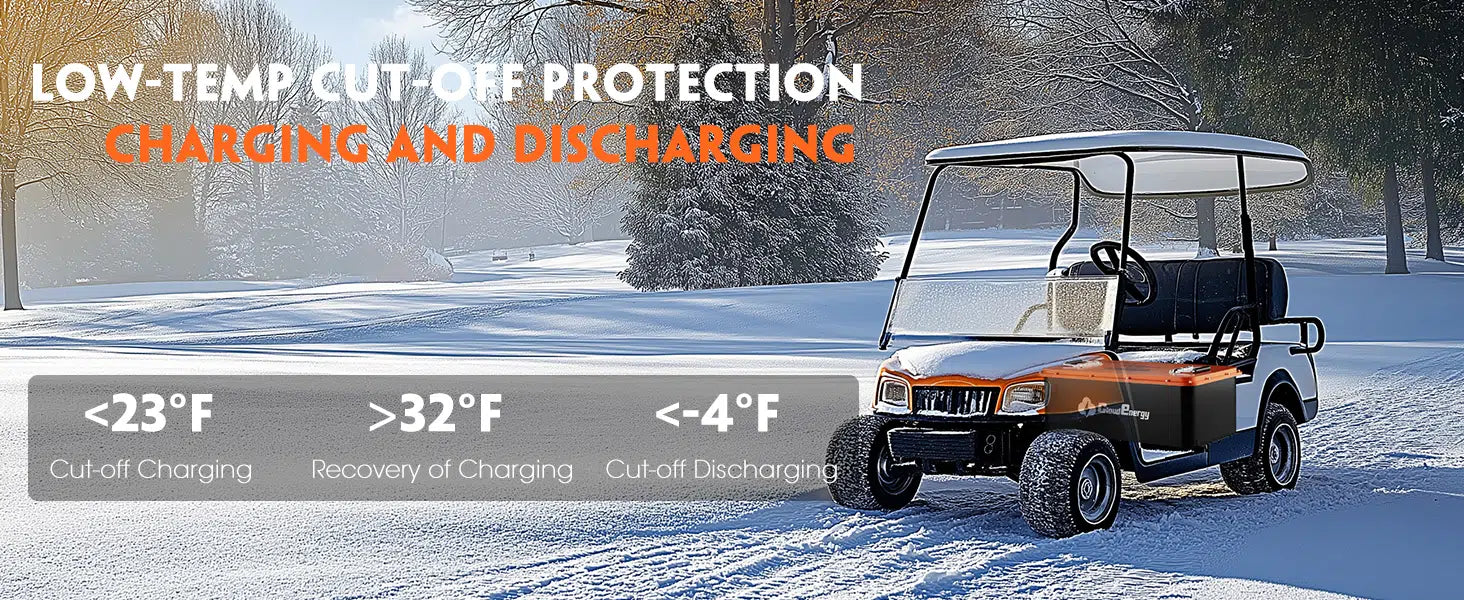 Cloudenergy 36V (38.4V) 60Ah LiFePo4 Golf Cart Battery With 20A Charger