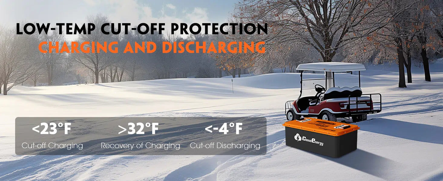 Cloudenergy 48V (51.2V) 60Ah LiFePo4 Golf Cart Battery With 20A Charger