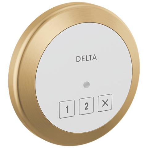 Delta Steamscape™ Square/Round Control (Exterior)