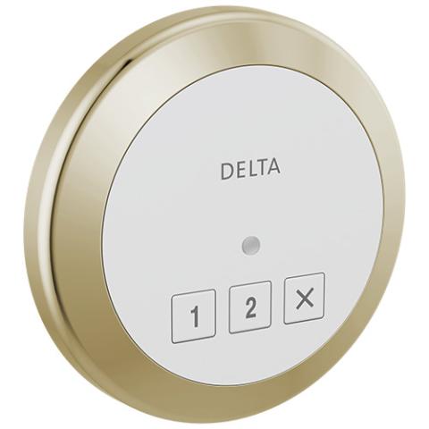 Delta Steamscape™ Square/Round Control (Exterior)