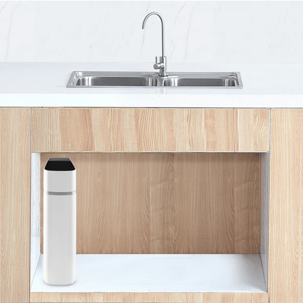 Echo RO Water Filter Machine (Tankless Reverse Osmosis)
